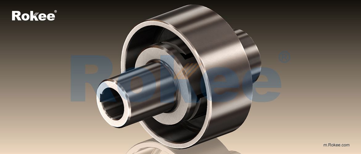 LMZ-I Plum-shaped Flexible Coupling